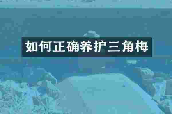如何正确养护三角梅