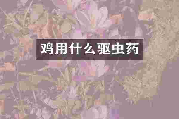 鸡用什么驱虫药