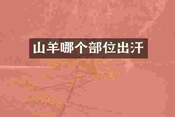 山羊哪个部位出汗
