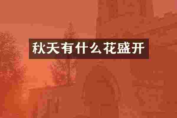 秋天有什么花盛开