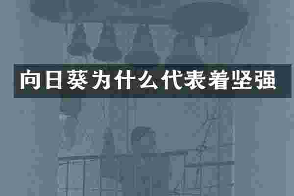 向日葵为什么代表着坚强