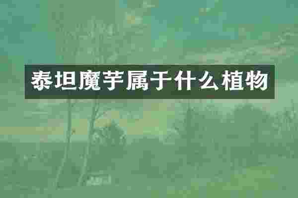 泰坦魔芋属于什么植物