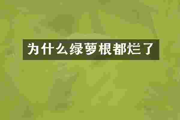 为什么绿萝根都烂了