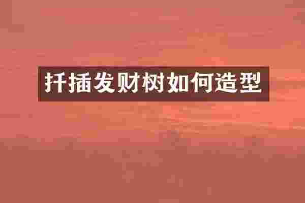扦插发财树如何造型