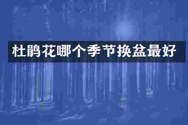杜鹃花哪个季节换盆最好