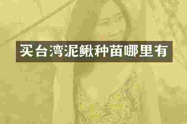 买台湾泥鳅种苗哪里有