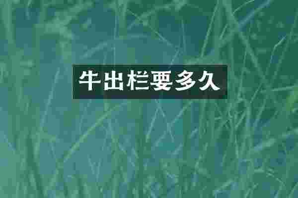 牛出栏要多久
