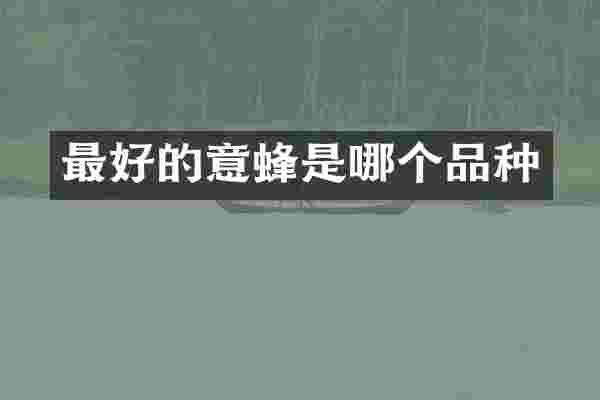 最好的意蜂是哪个品种