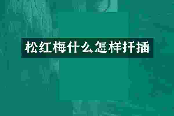 松红梅什么怎样扦插