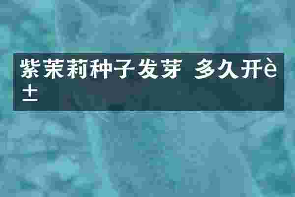 紫茉莉种子发芽 多久开花