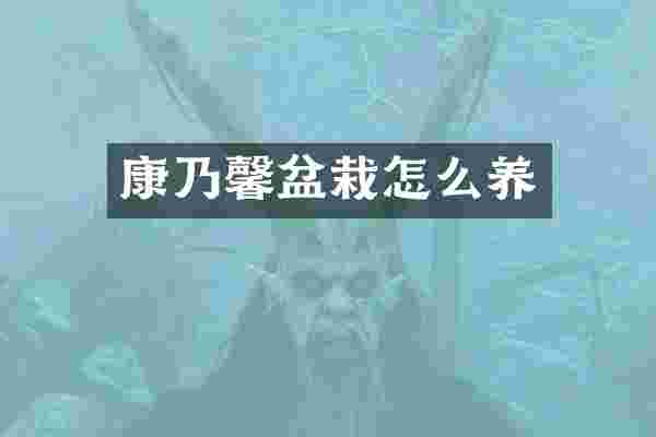 康乃馨盆栽怎么养