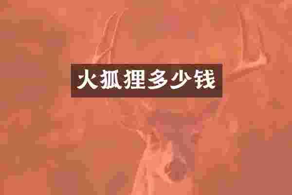 火狐狸多少钱