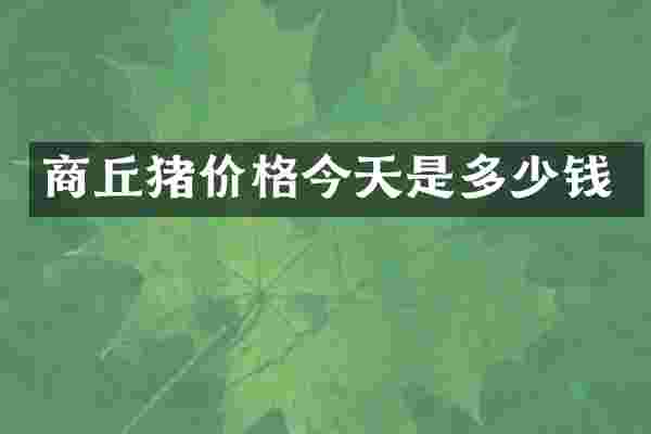 商丘猪价格今天是多少钱