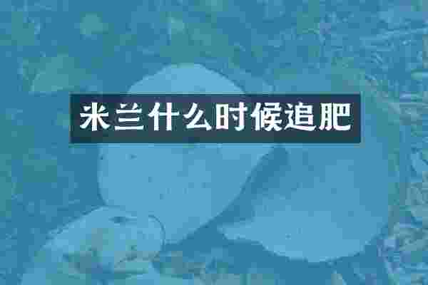 米兰什么时候追肥