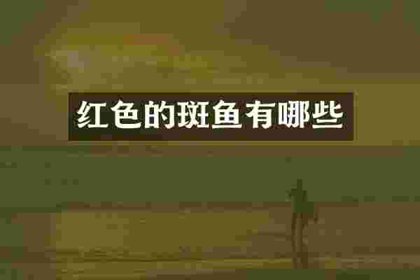 红色的斑鱼有哪些