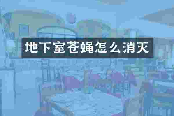 地下室苍蝇怎么消灭