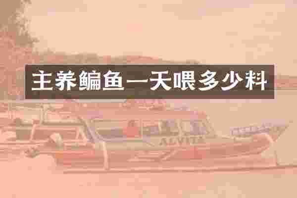 主养鳊鱼一天喂多少料
