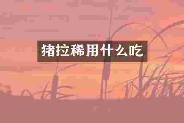 猪拉稀用什么吃