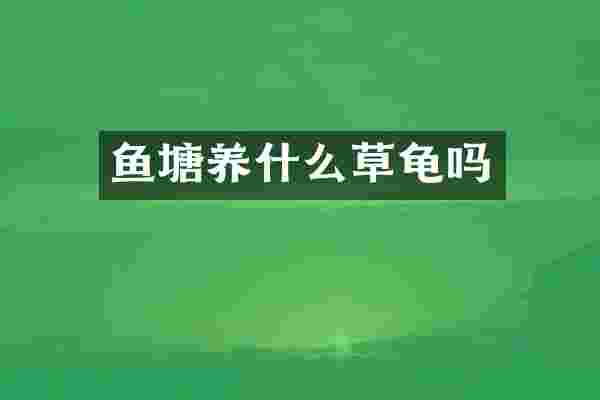 鱼塘养什么草龟吗