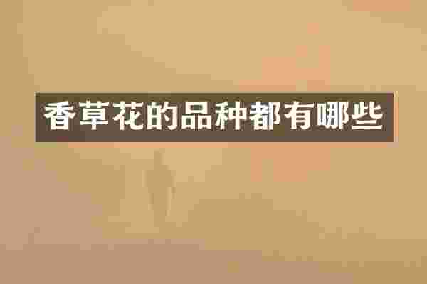 香草花的品种都有哪些