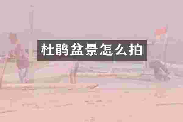 杜鹃盆景怎么拍