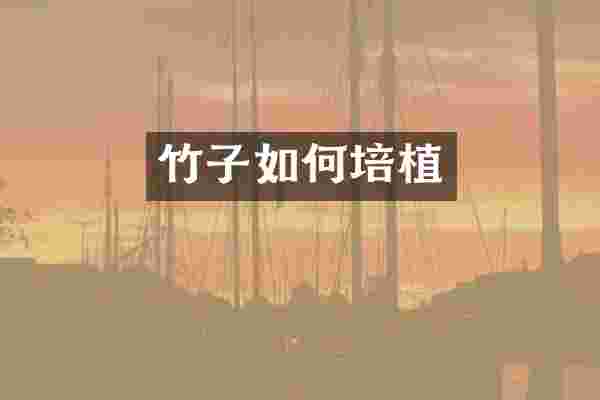 竹子如何培植