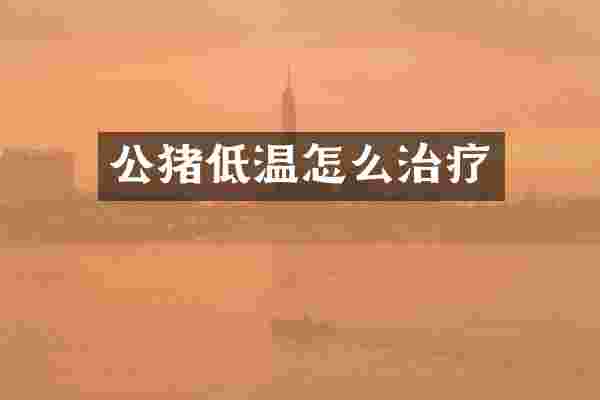 公猪低温怎么治疗
