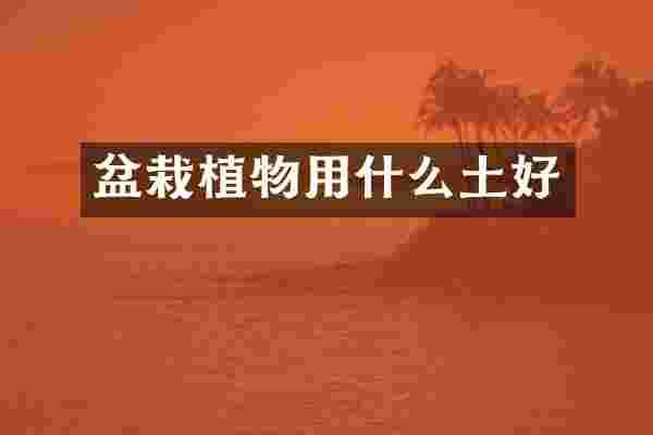 盆栽植物用什么土好