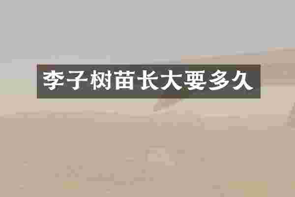 李子树苗长大要多久