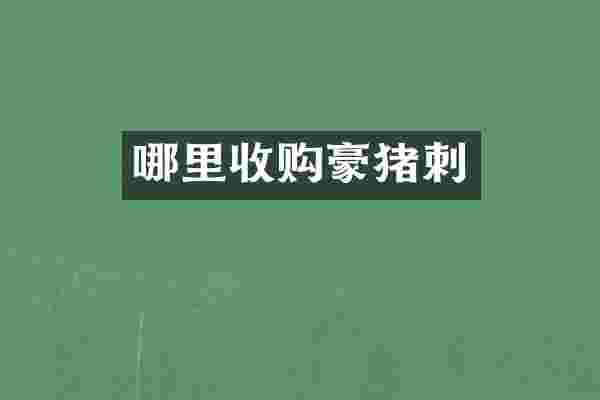 哪里收购豪猪刺