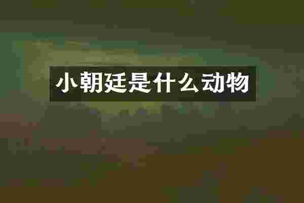 小朝廷是什么动物
