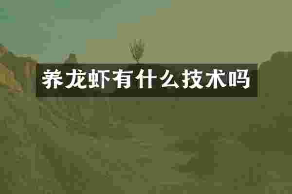 养龙虾有什么技术吗