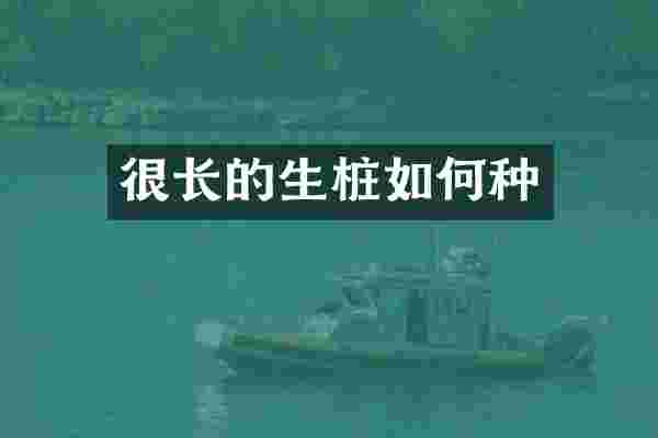 很长的生桩如何种