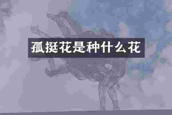 孤挺花是种什么花