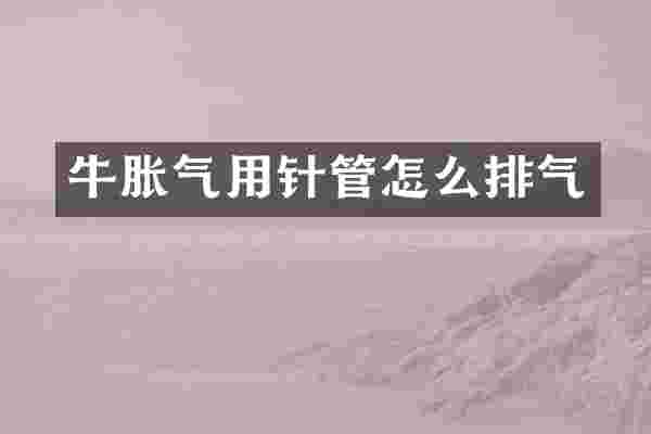 牛胀气用针管怎么排气
