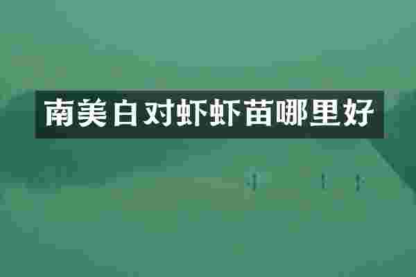 南美白对虾虾苗哪里好