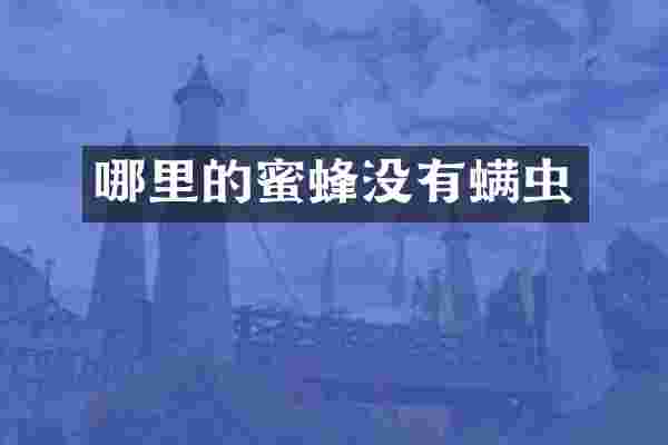 哪里的蜜蜂没有螨虫