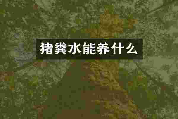 猪粪水能养什么