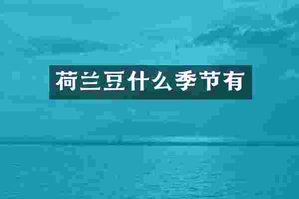 荷兰豆什么季节有