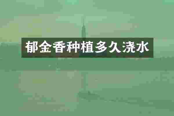郁金香种植多久浇水