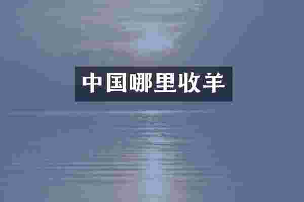 中国哪里收羊