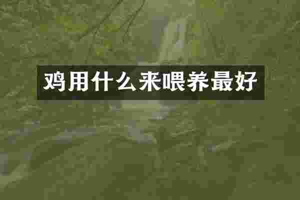 鸡用什么来喂养最好