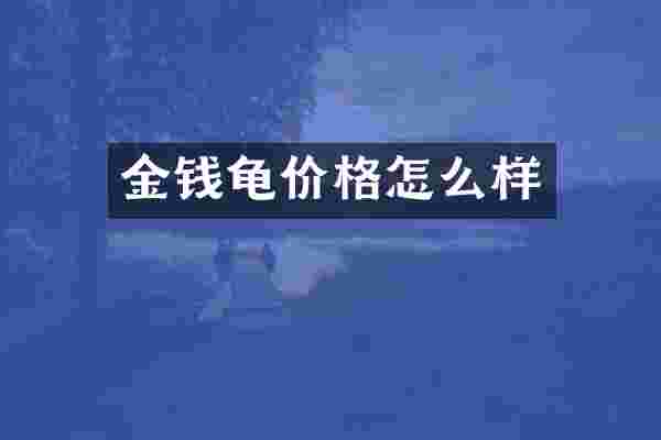 金钱龟价格怎么样