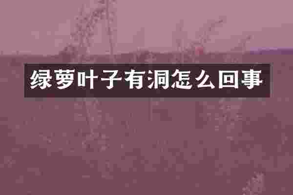 绿萝叶子有洞怎么回事