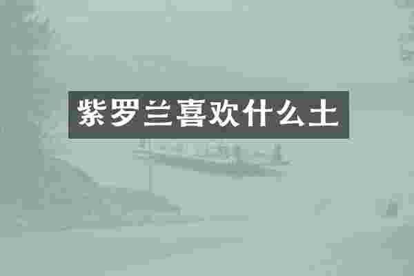紫罗兰喜欢什么土