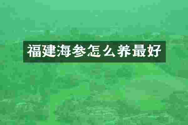 福建海参怎么养最好