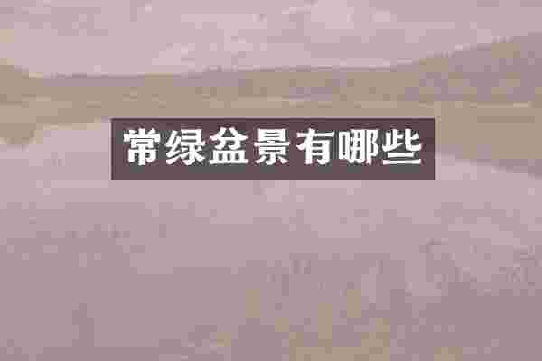 常绿盆景有哪些