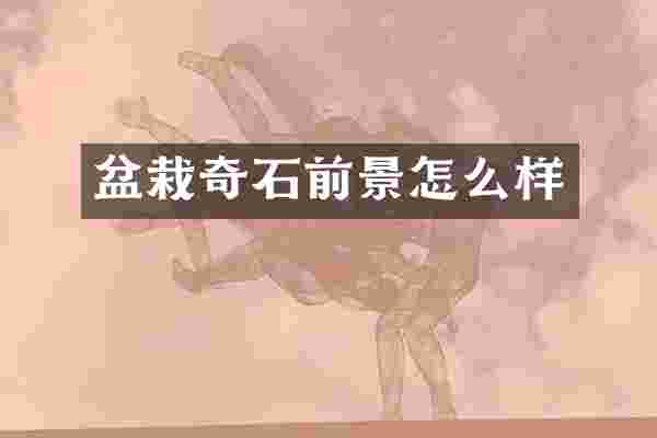盆栽奇石前景怎么样