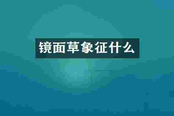 镜面草象征什么