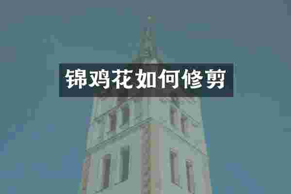 锦鸡花如何修剪
